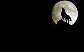 Обои Волк на фоне луны: Темнота, Луна, Волк, Волки