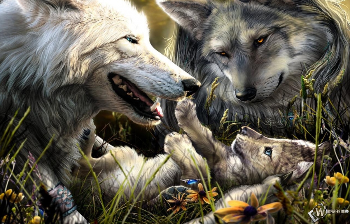 Волки с волчонком 1200x768