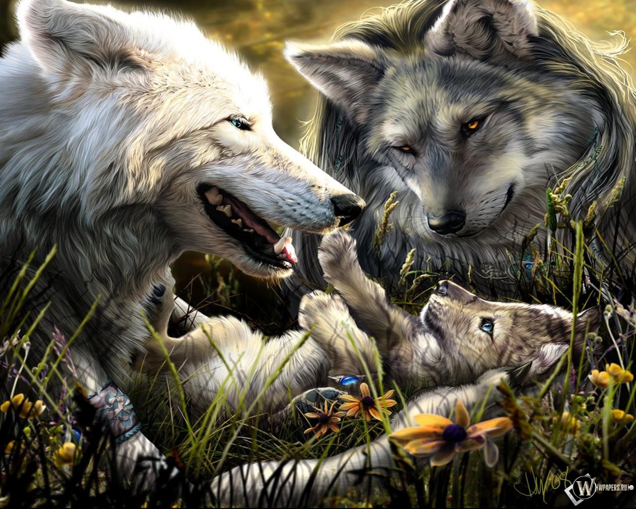 Волки с волчонком 1280x1024