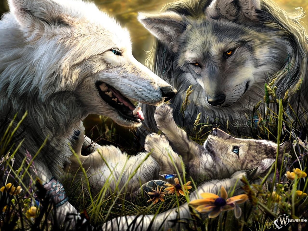 Волки с волчонком 1280x960