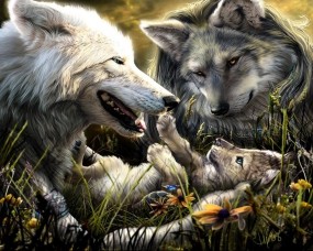 Обои Волки с волчонком: Волки, Семья, Волчонок, Волки