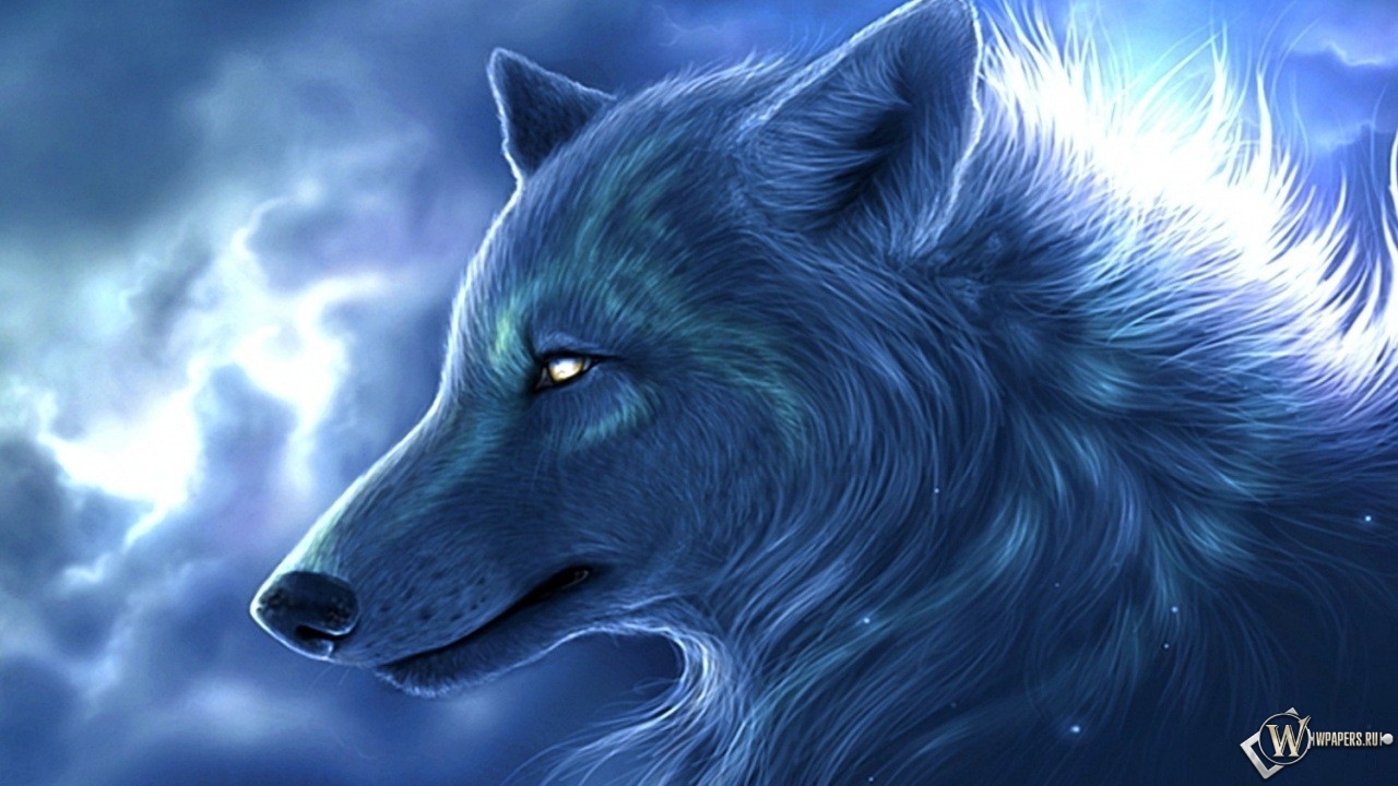 Ночьной волк 1280x720