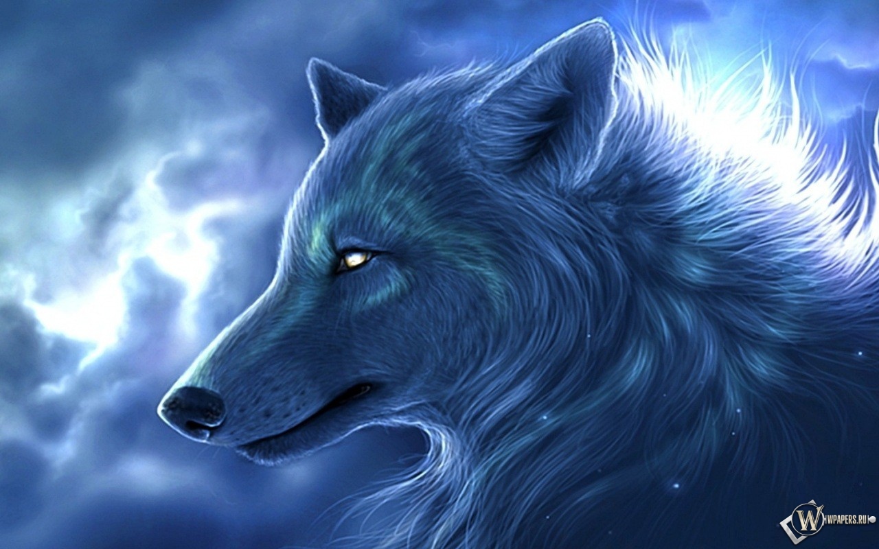 Ночьной волк 1280x800