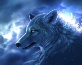 Обои Ночьной волк: Свет, Ночь, Волк, Волки