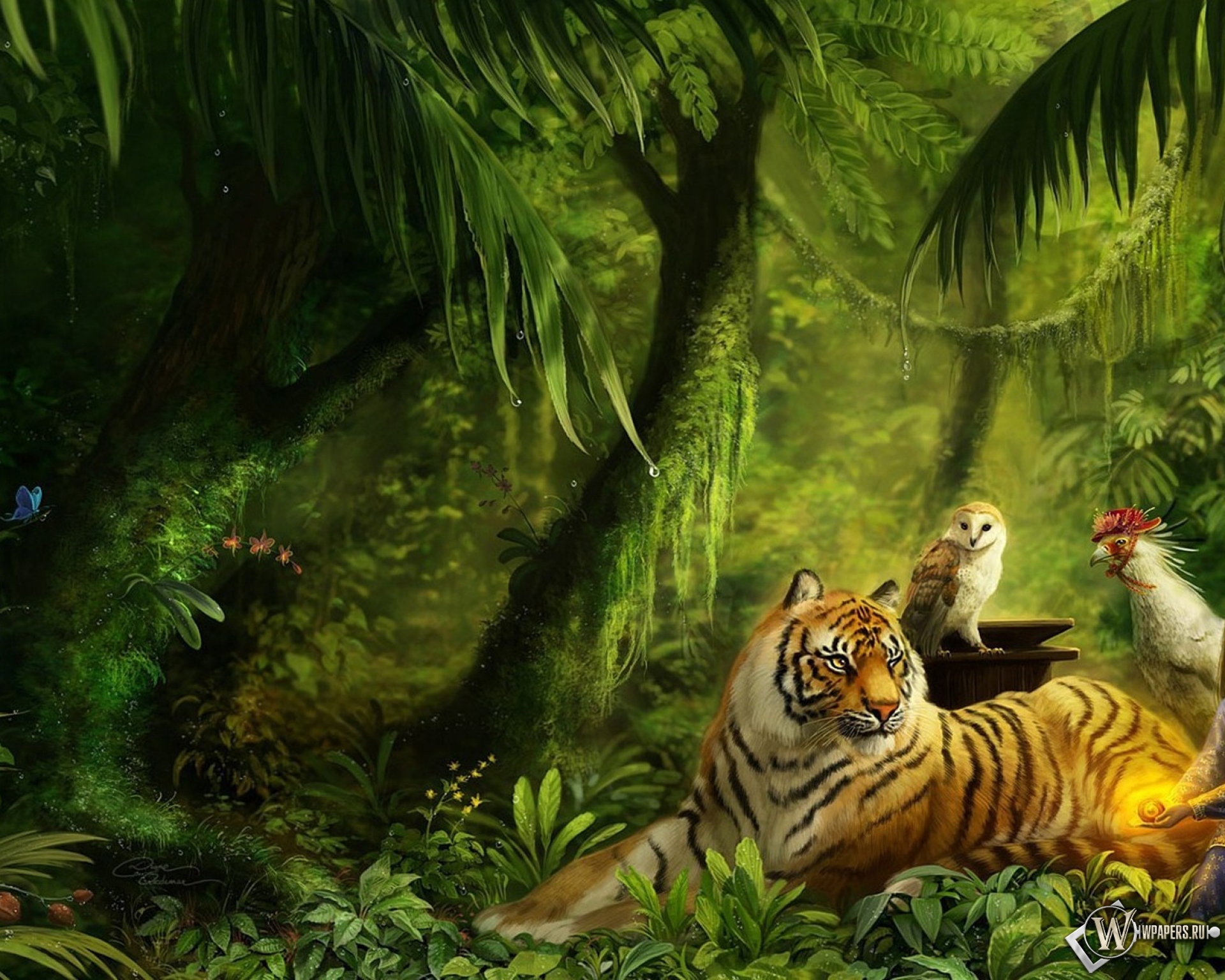 Животные в лесу 1920x1536