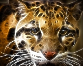 Обои Рисованый тигр: Хищник, Тигр, Дикая кошка, Обработка, Прочие животные