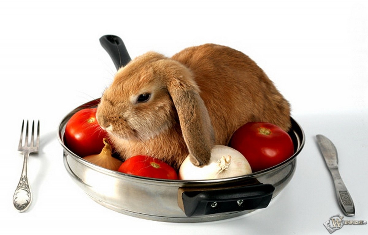 Кролик на сковороде 1200x768