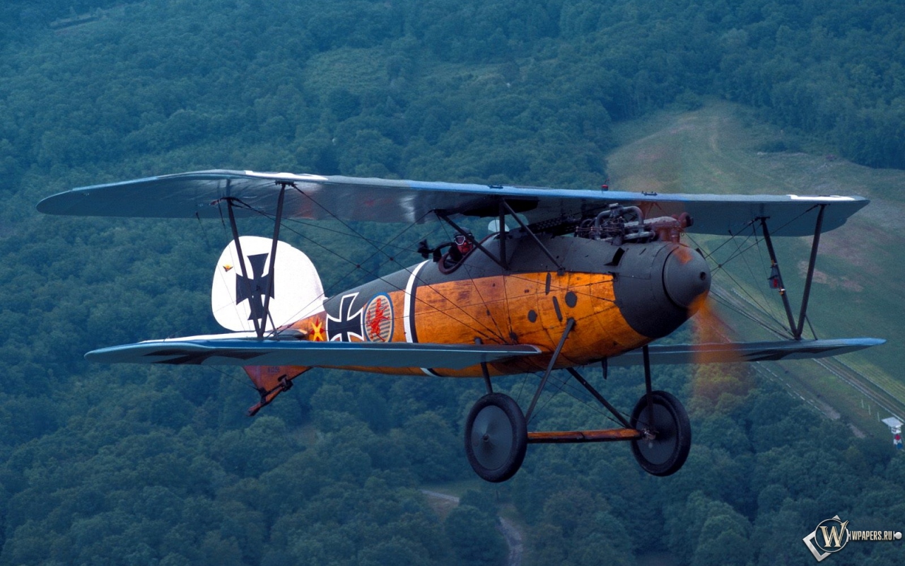 Albatros D-Va-1 1280x800