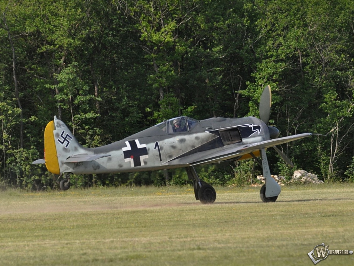 Focke Wulf Fw-190 1400x1050