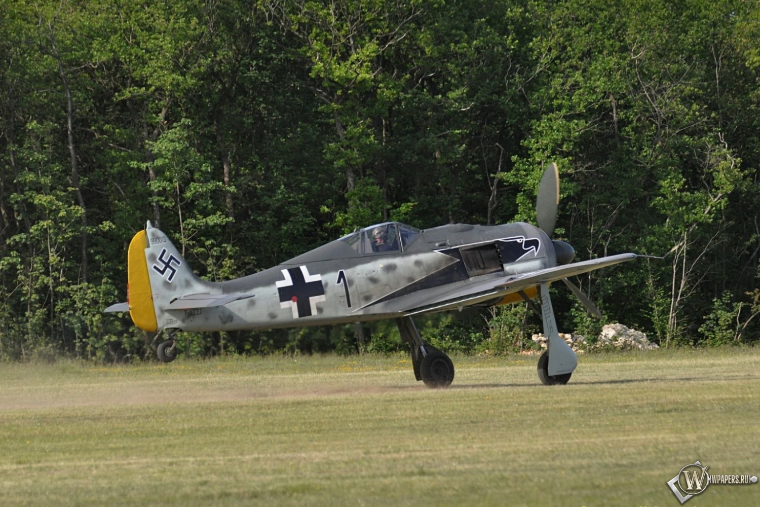 Focke Wulf Fw-190 1500x1000