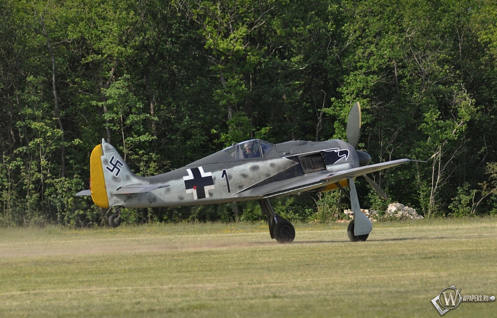 Focke Wulf Fw-190 1600x1024
