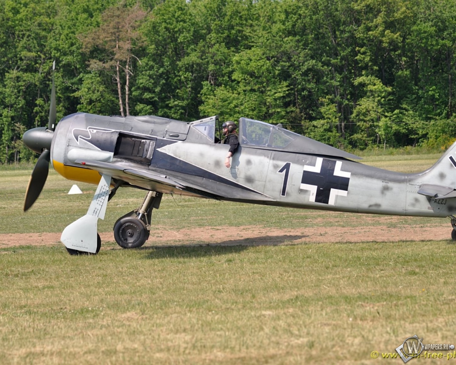 Focke Wulf Fw-190 1600x1280