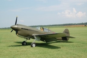 Обои Curtiss P-40: Curtiss, Истребители