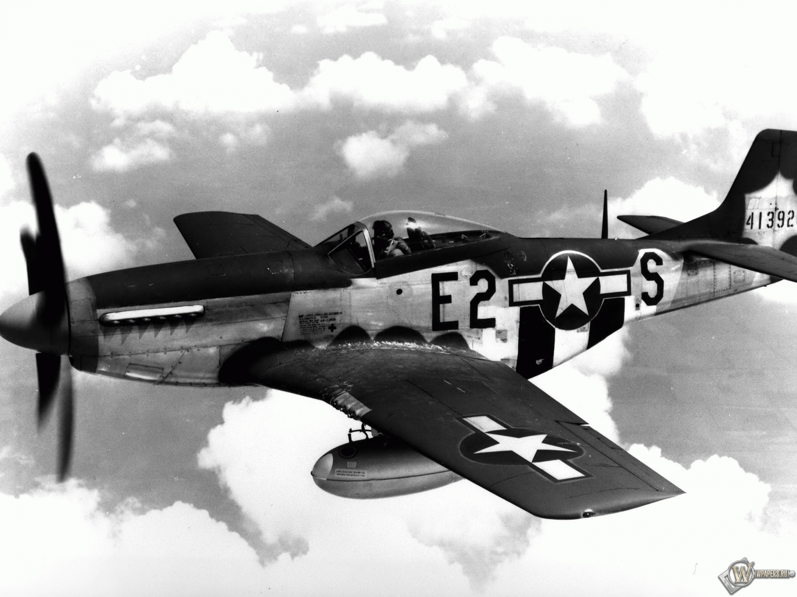 North American P-51 Mustang 2560x1920