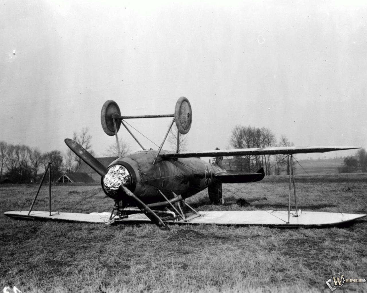 Albatros D-Va-1 1280x1024