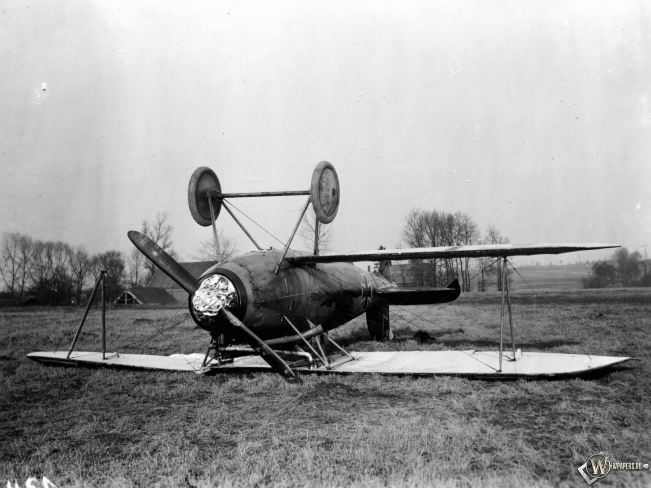 Albatros D-Va-1 1280x960