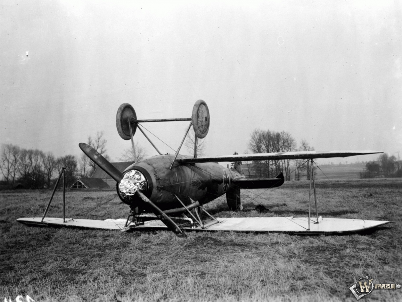 Albatros D-Va-1 1400x1050
