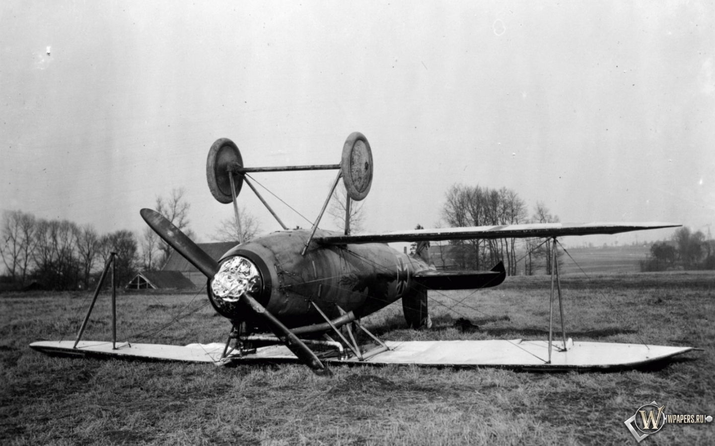 Albatros D-Va-1 1440x900