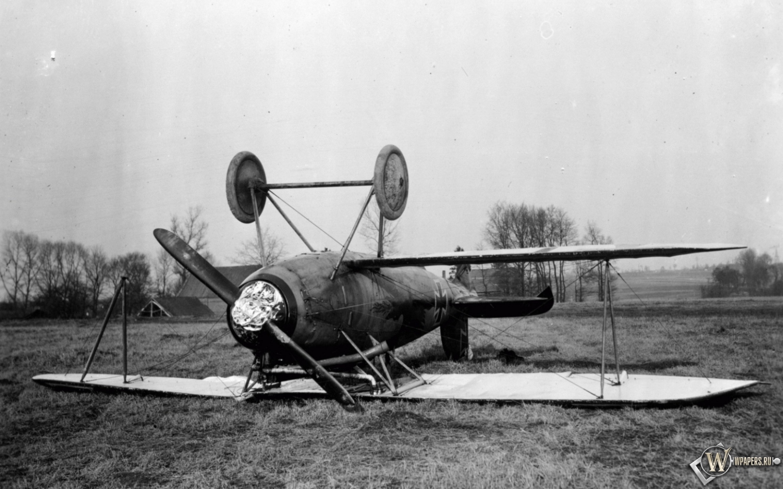 Albatros D-Va-1 1536x960