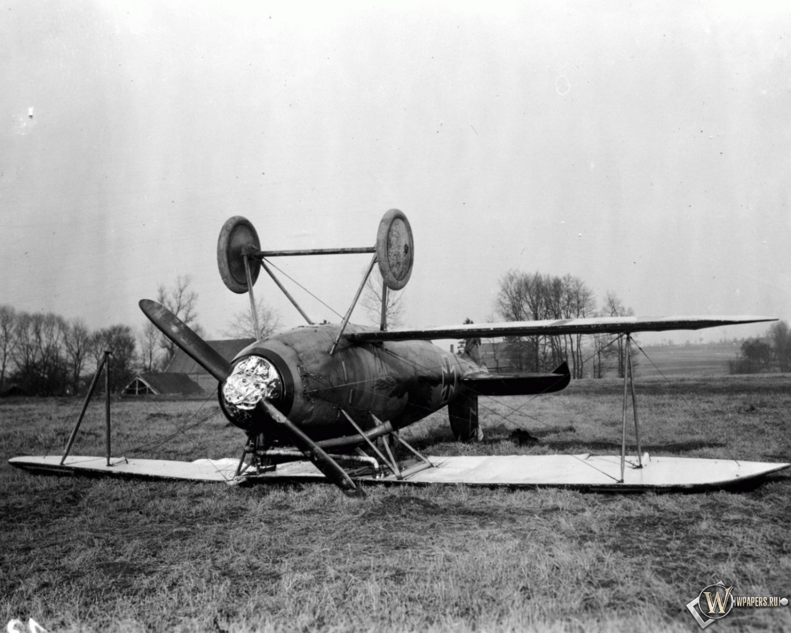 Albatros D-Va-1 1600x1280