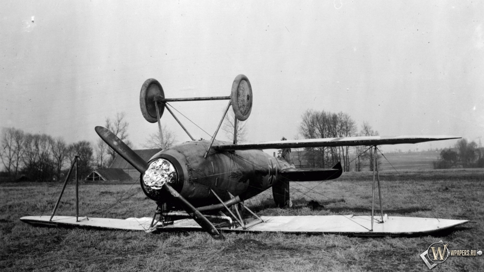 Albatros D-Va-1 1600x900