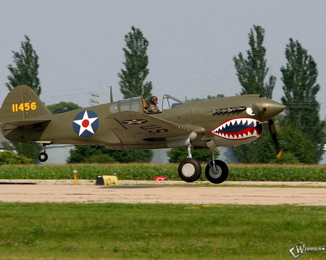 Curtiss P-40 1280x1024