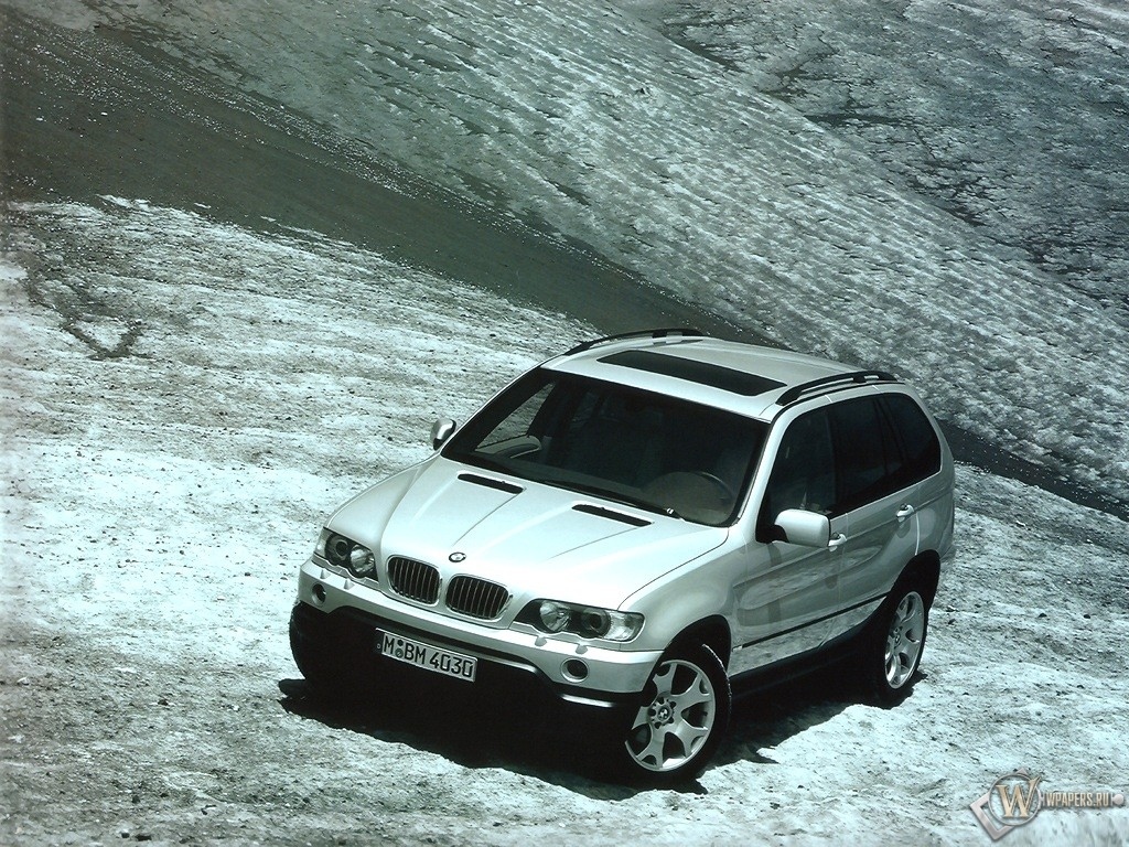 BMW X5  1024x768