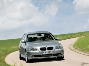Обои BMW - 5 (2004): Природа, BMW 5, BMW