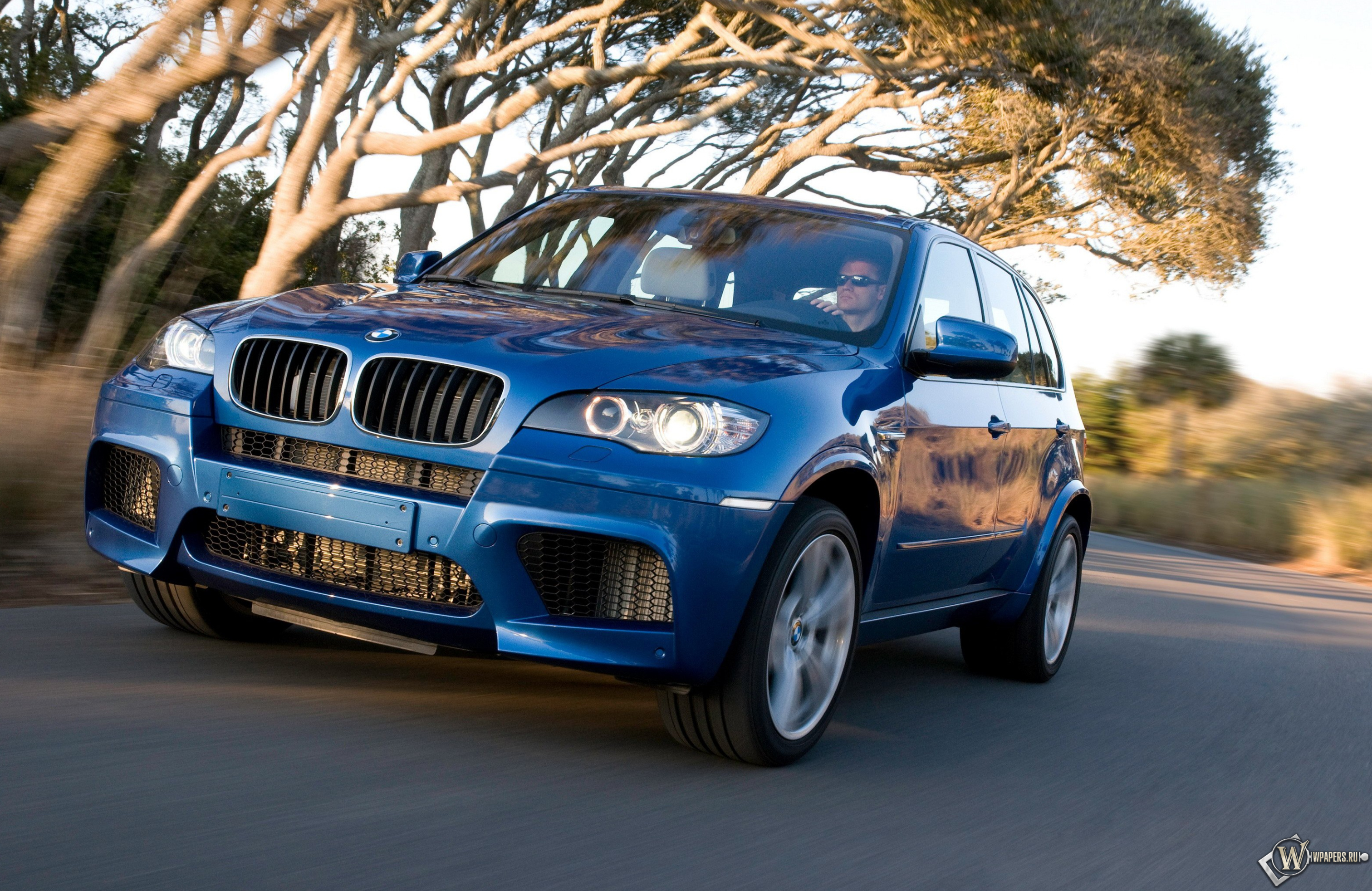 BMW - X5 M (2010) 3024x1964