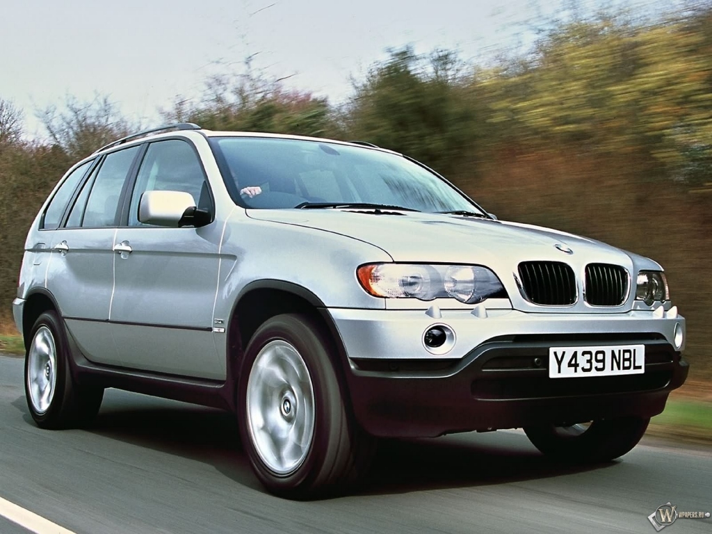 BMW X5 1024x768