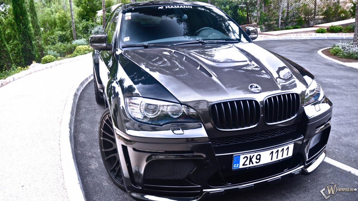 BMW X6 1366x768