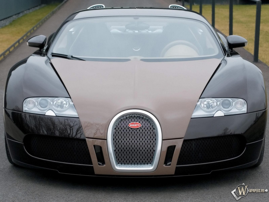 серый Bugatti Veyron 1024x768