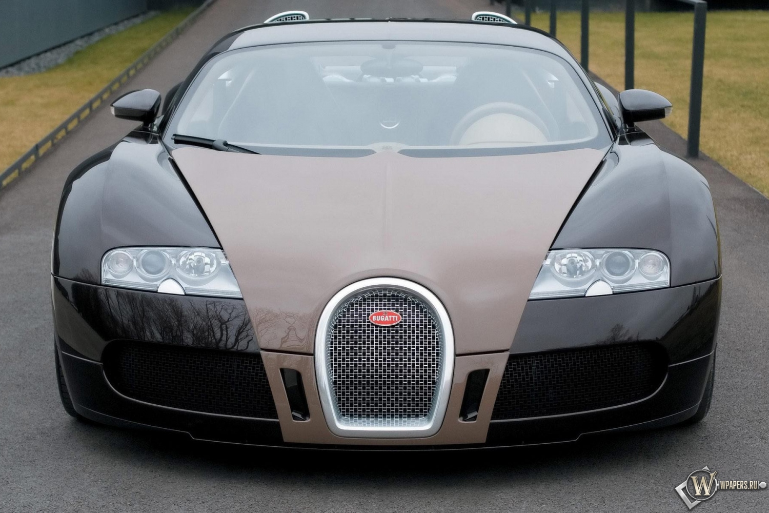 серый Bugatti Veyron 1500x1000