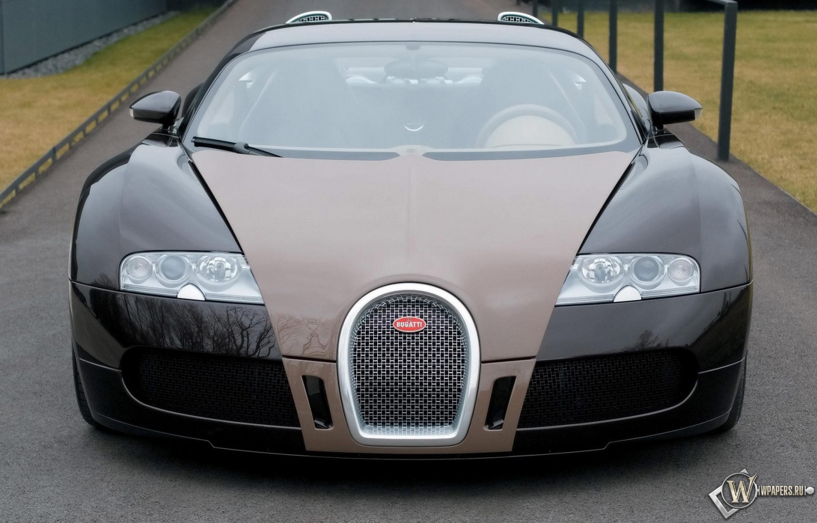 серый Bugatti Veyron 1600x1024