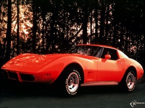 Chevrolet 1970-1979 Corvette