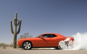 Обои Dodge Challenger SRT8: Дым, Дрифт, Кактус, Dodge Challenger, Dodge