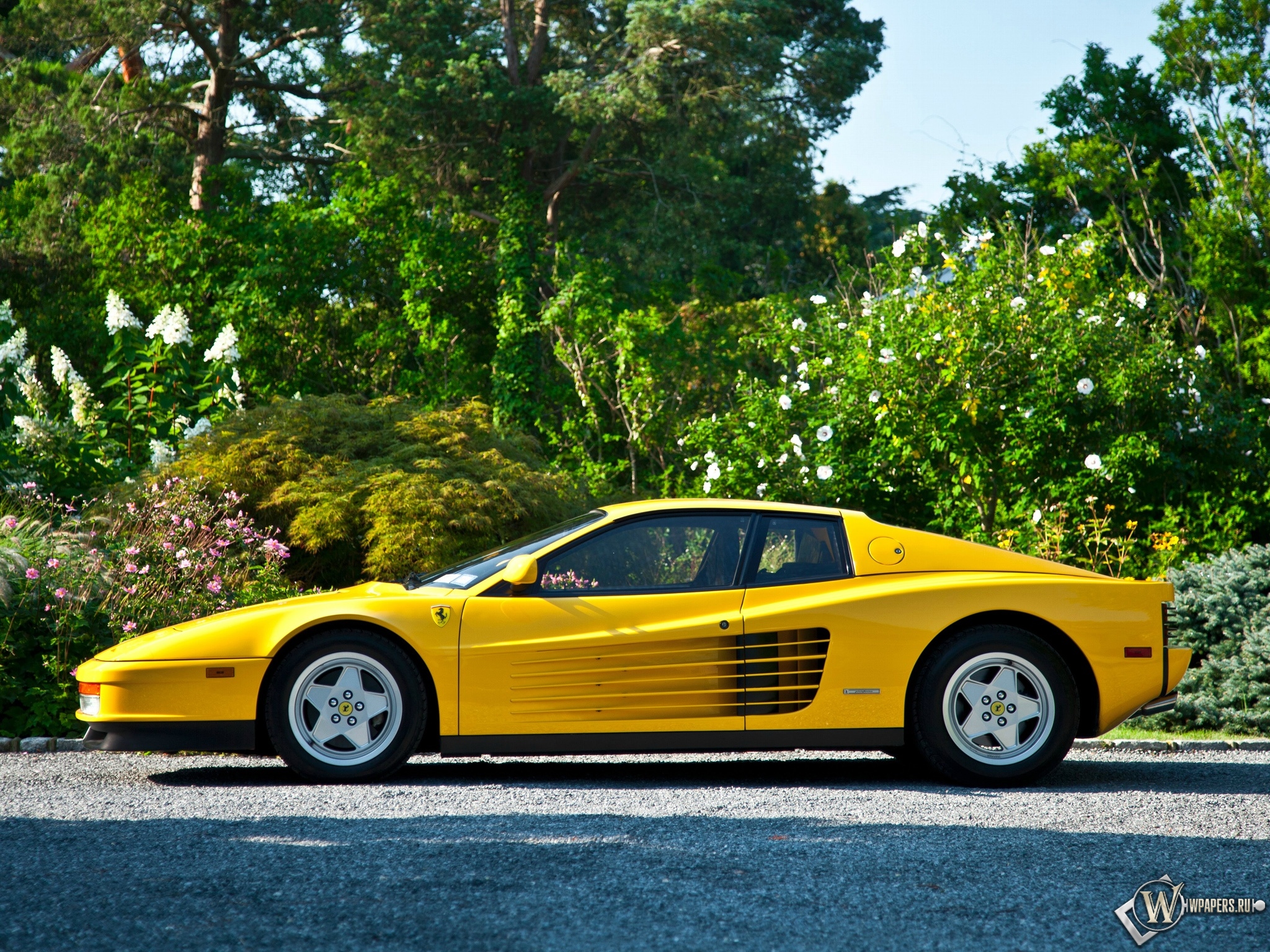 Ferrari Testarossa US-spec 1987–92 2048x1536