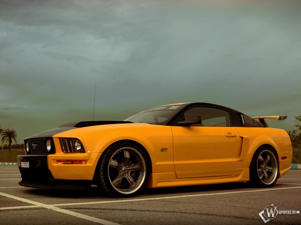 Ford Mustang Shelby 1024x768