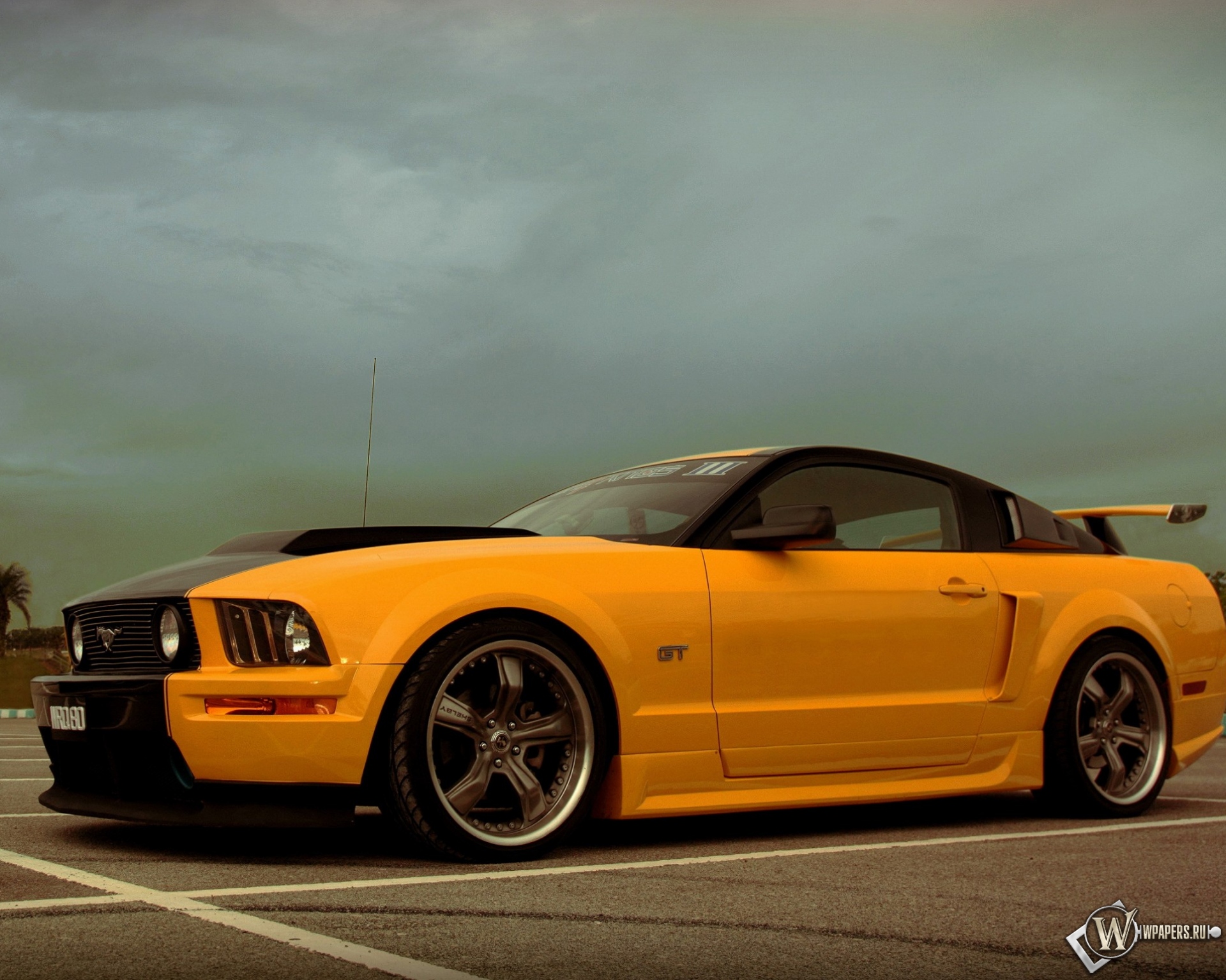 Ford Mustang Shelby 1920x1536
