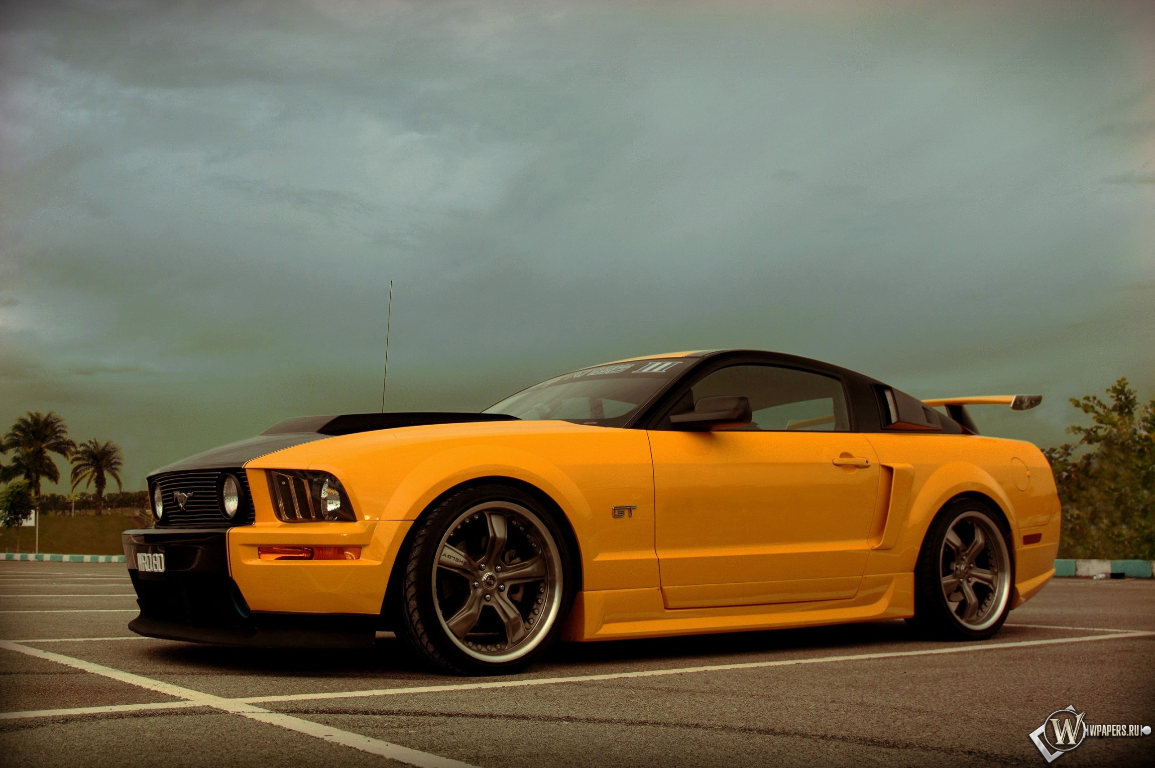 Ford Mustang Shelby 2300x1530