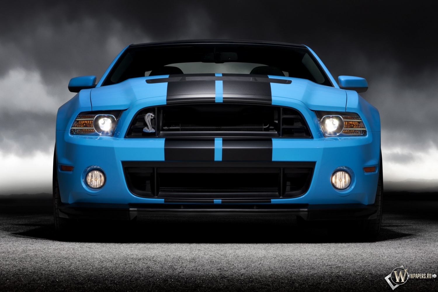 2013 Ford Mustang Shelby GT500 1500x1000