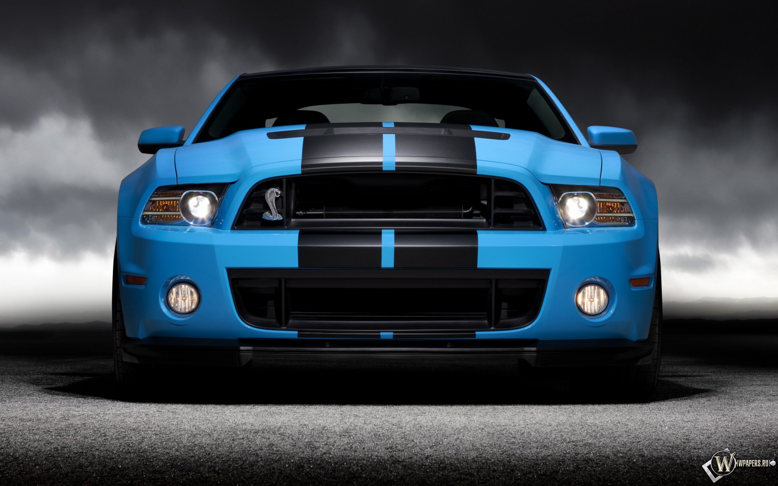 2013 Ford Mustang Shelby GT500 2560x1600