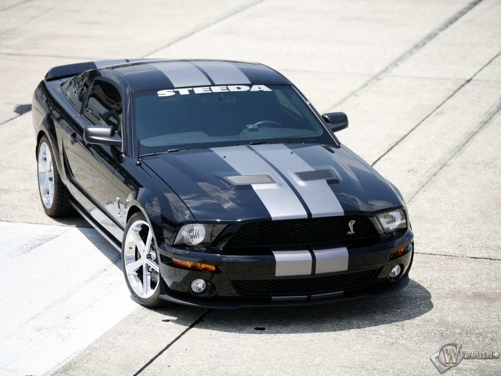 Shelby GT500 1024x768