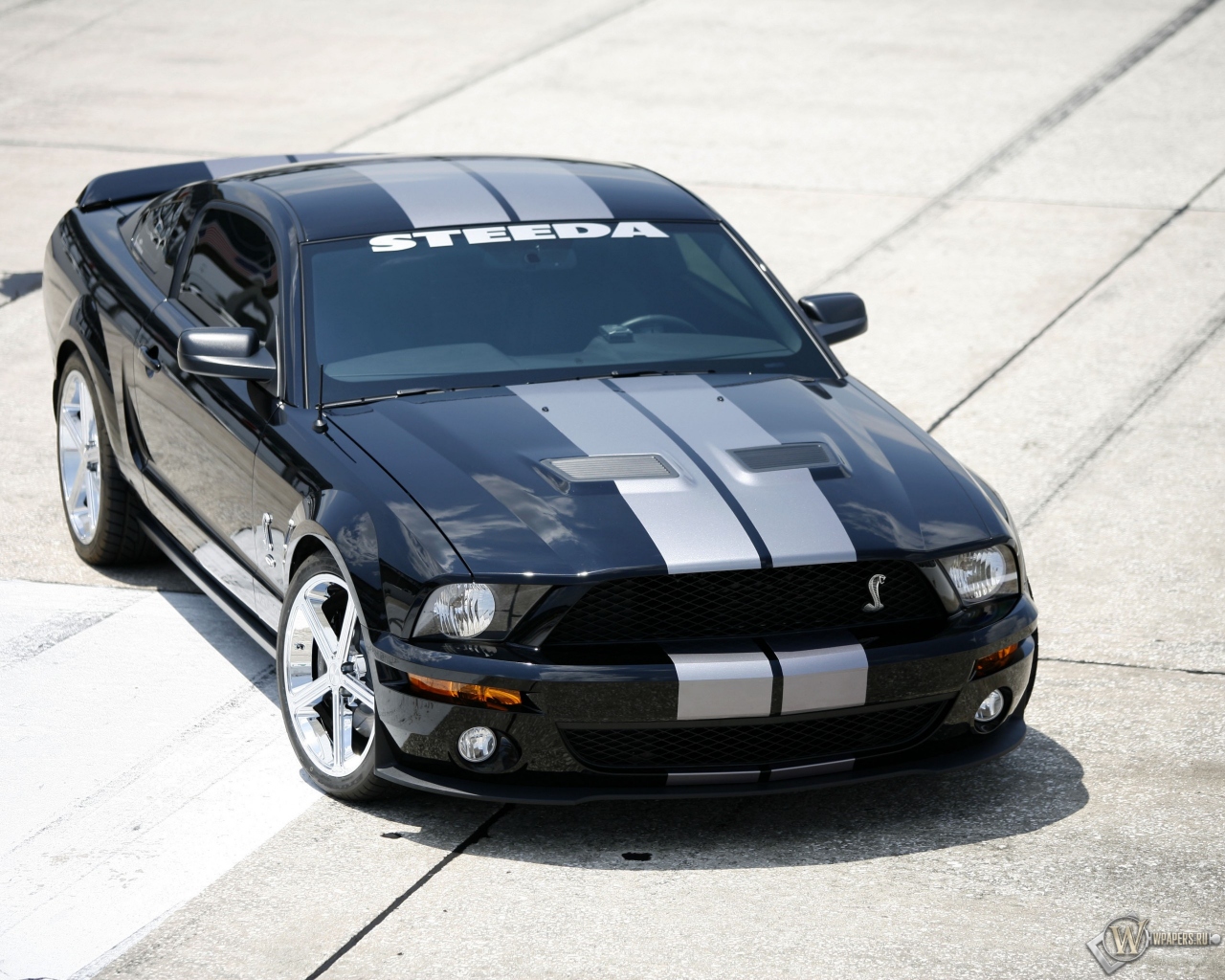 Shelby GT500 1280x1024
