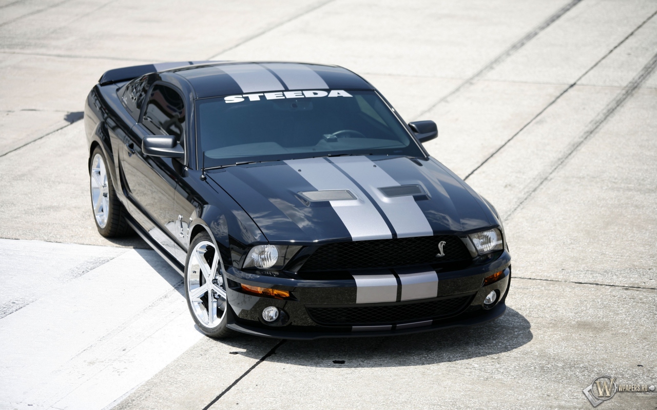 Shelby GT500 1280x800