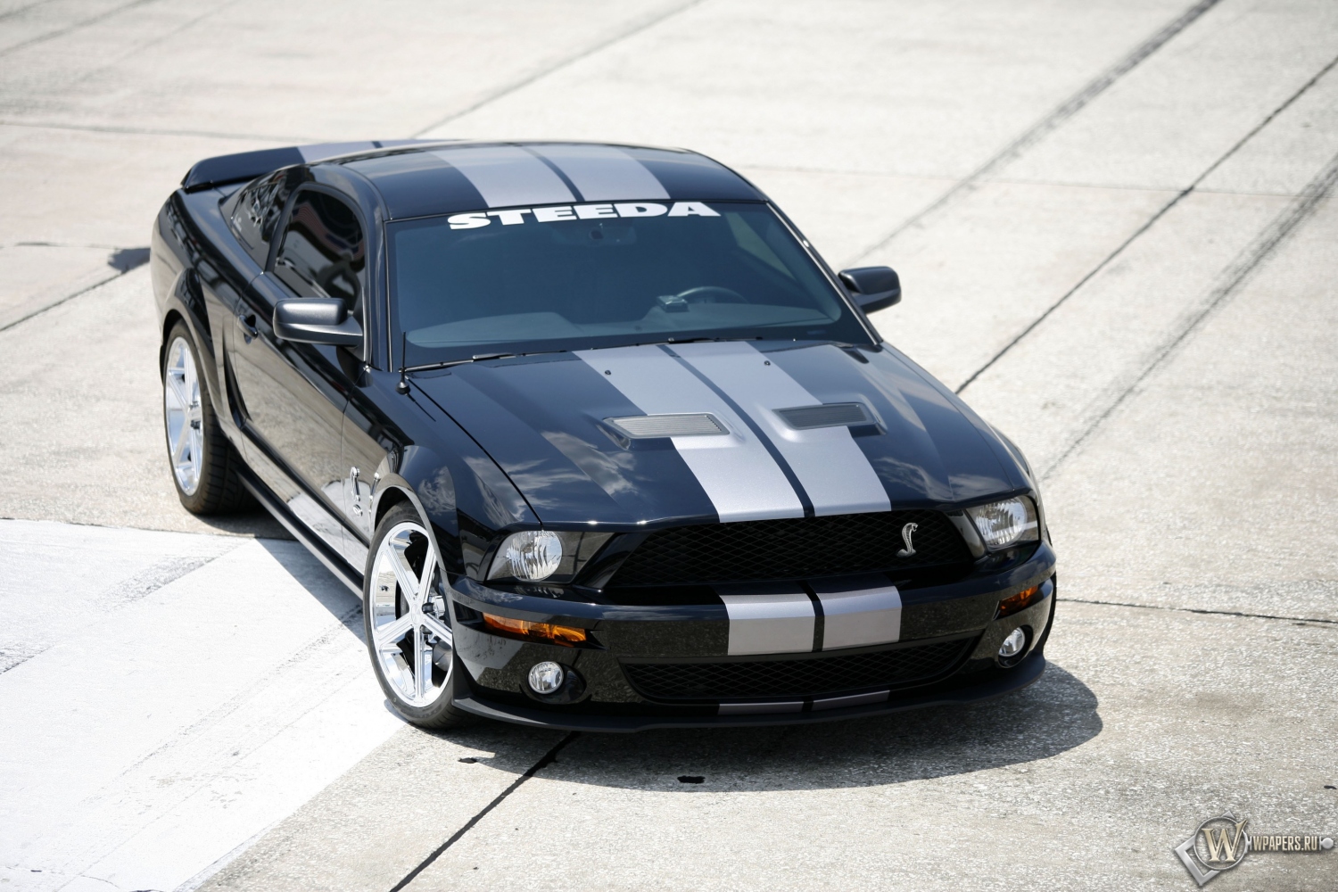 Shelby GT500 1500x1000