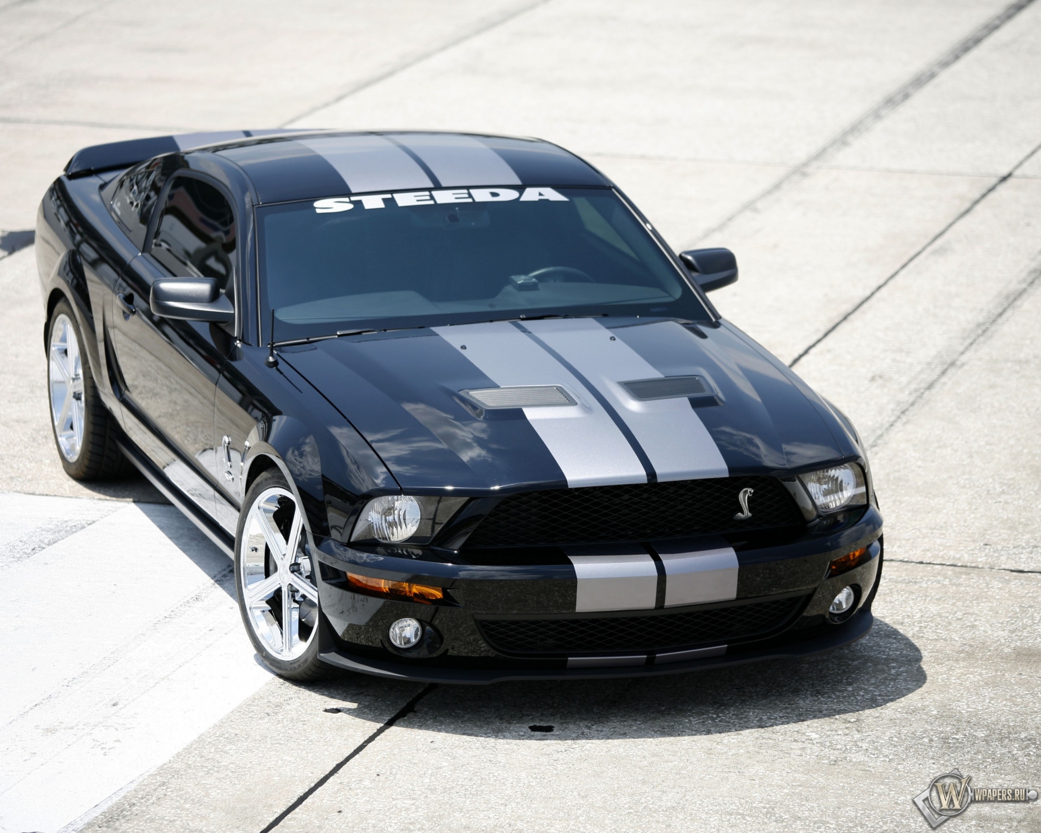 Shelby GT500 2048x1638