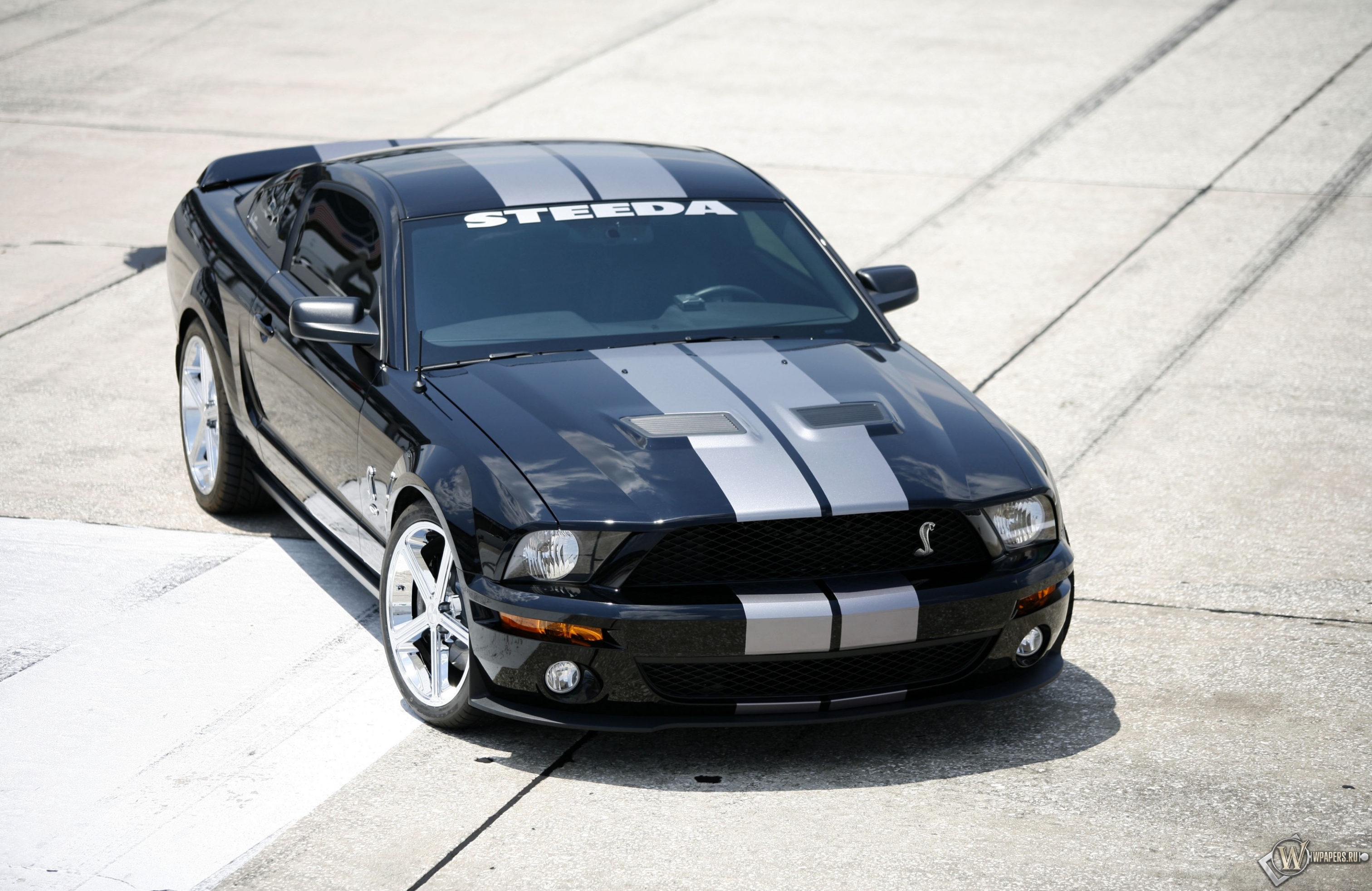Shelby GT500 3024x1964