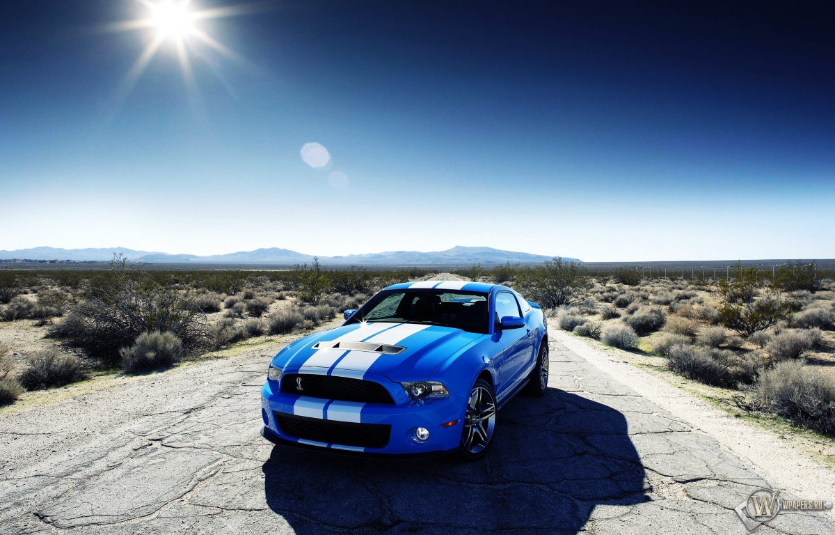 Ford Mustang Shelby 1200x768
