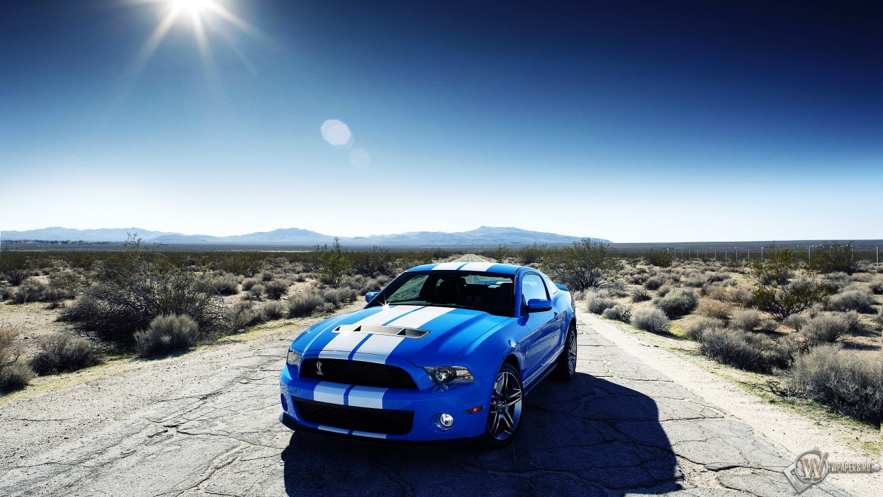 Ford Mustang Shelby 1280x720